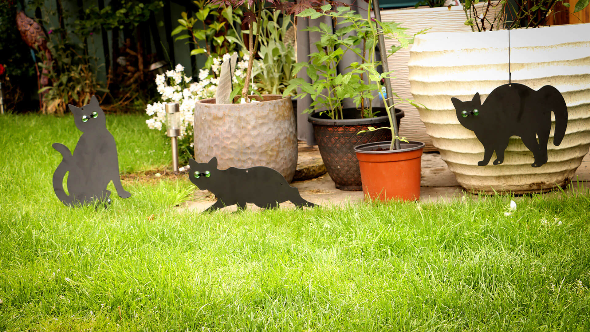 Black Cat Silhouette For Garden | Cat With Scary Eyes