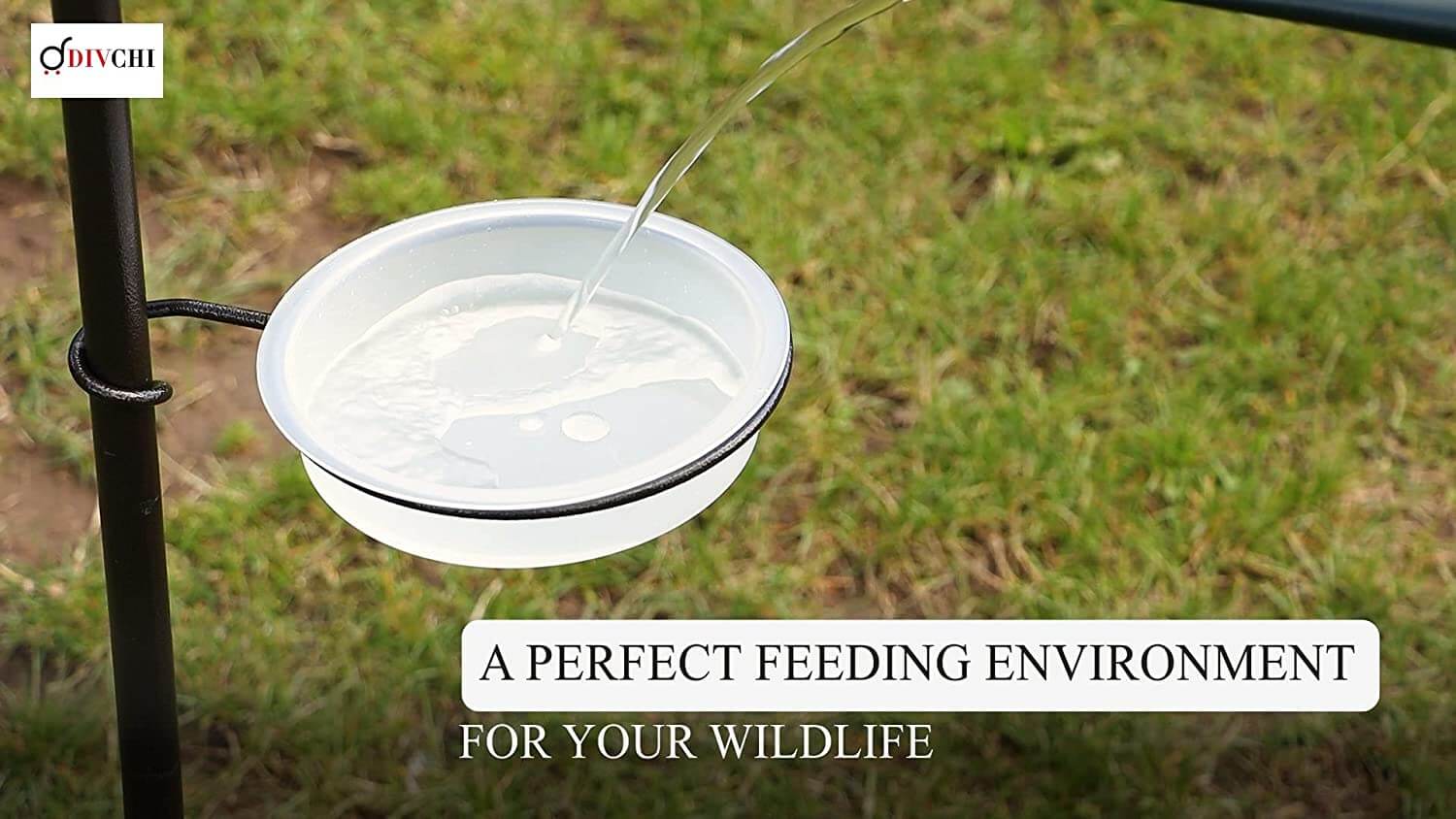 Hanging Metal Bird Feeder | Wild Bird Feeding Stations Uk