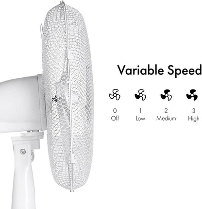 Oscillating Quiet Fan | Pedestal Electric Fan | Fan Pedestal