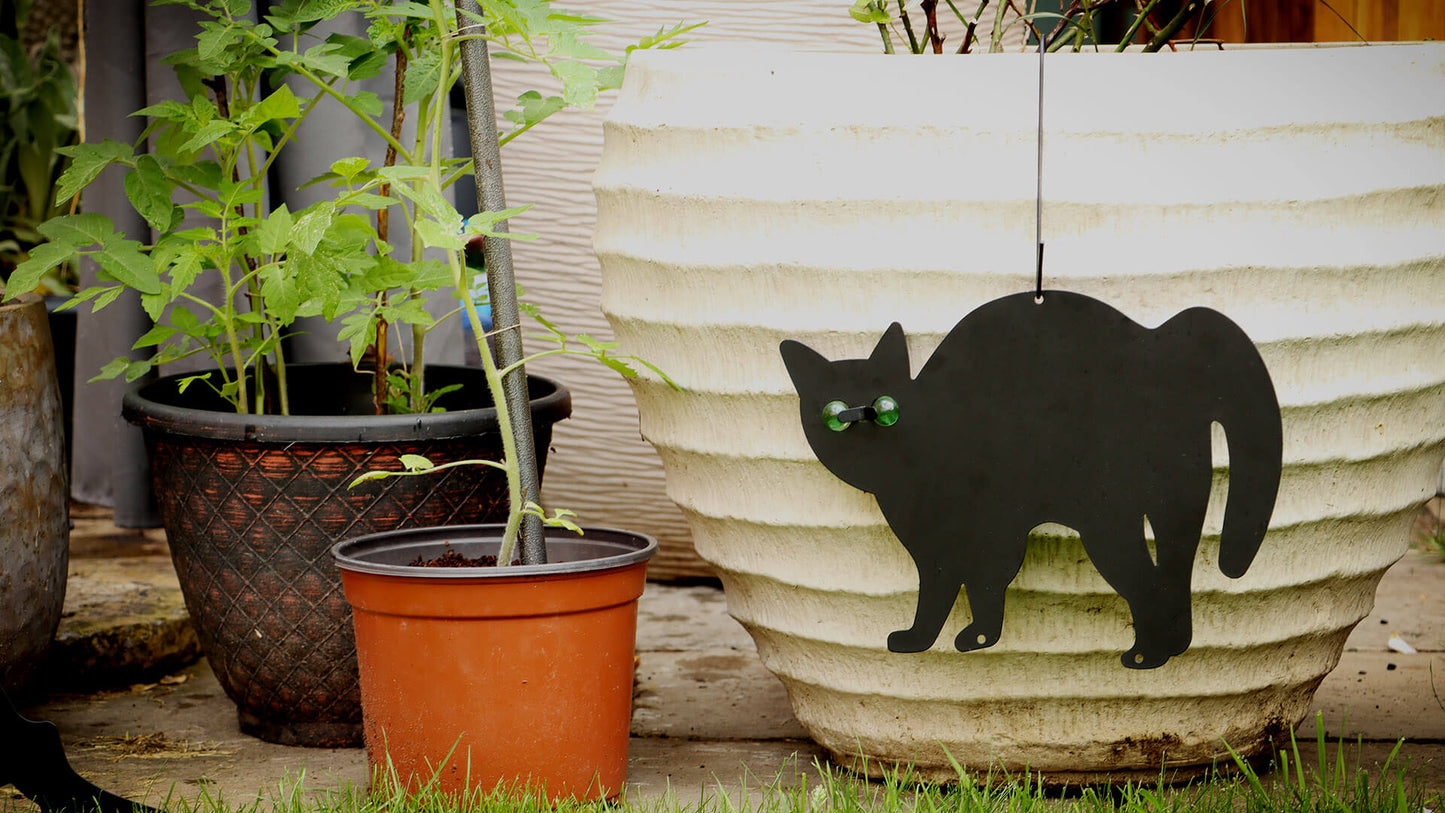 Black Cat Silhouette For Garden | Cat With Scary Eyes