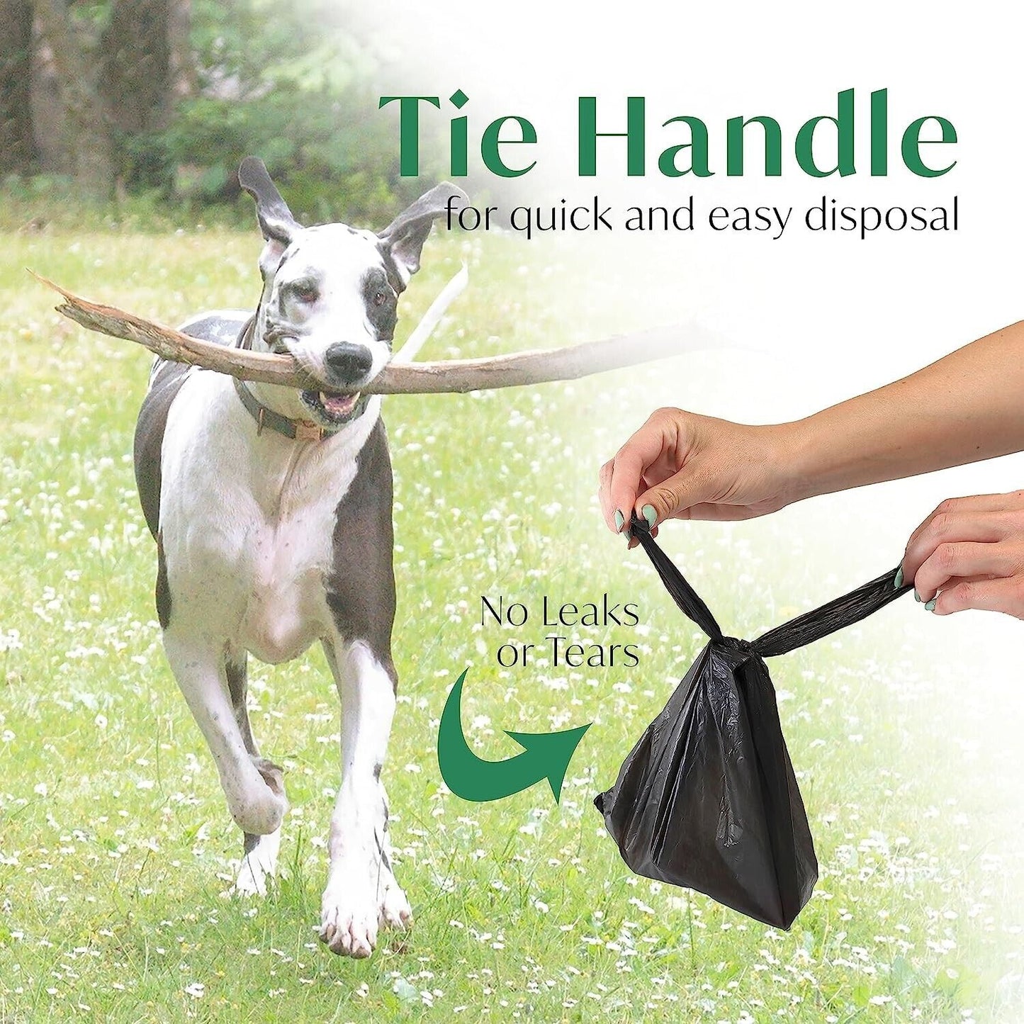 DIVCHI Dogs Poo Bag With Tie Handles Doggy Waste Pickup Bag (12 X 50 )600 Bags