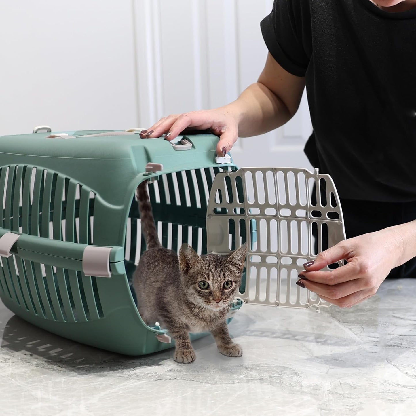 DIVCHI Cat Carrier Transport Crate Dogs Carrying Box Kitten Carry Basket Cats Puppys Travel Cage