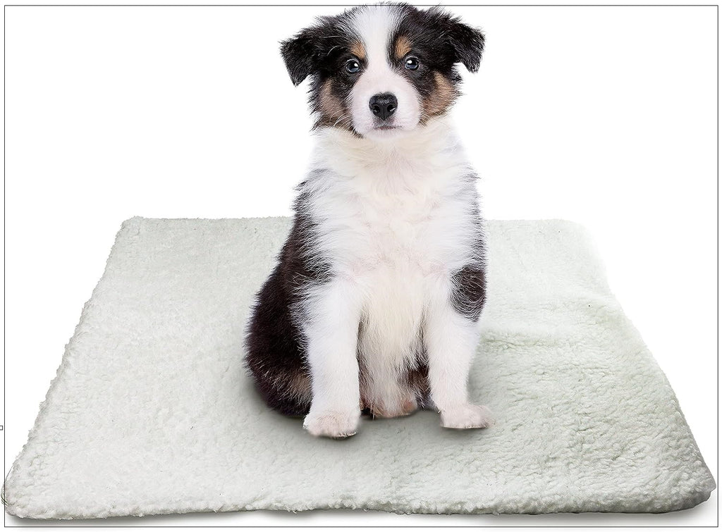 Thermal sales dog mat