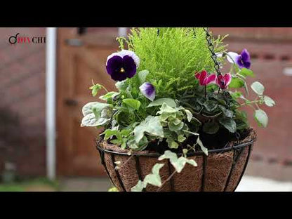 DIVCHI Hanging Basket With Coco Liner & Chain Hanging Flower Pots