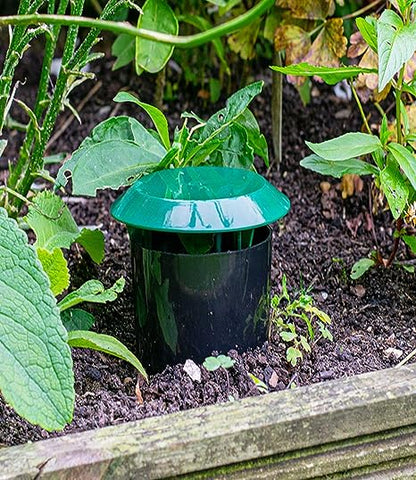 DIVCHI Beer Slug & Snail Traps Simple To Use No Pellets Safe Around Children And Pets