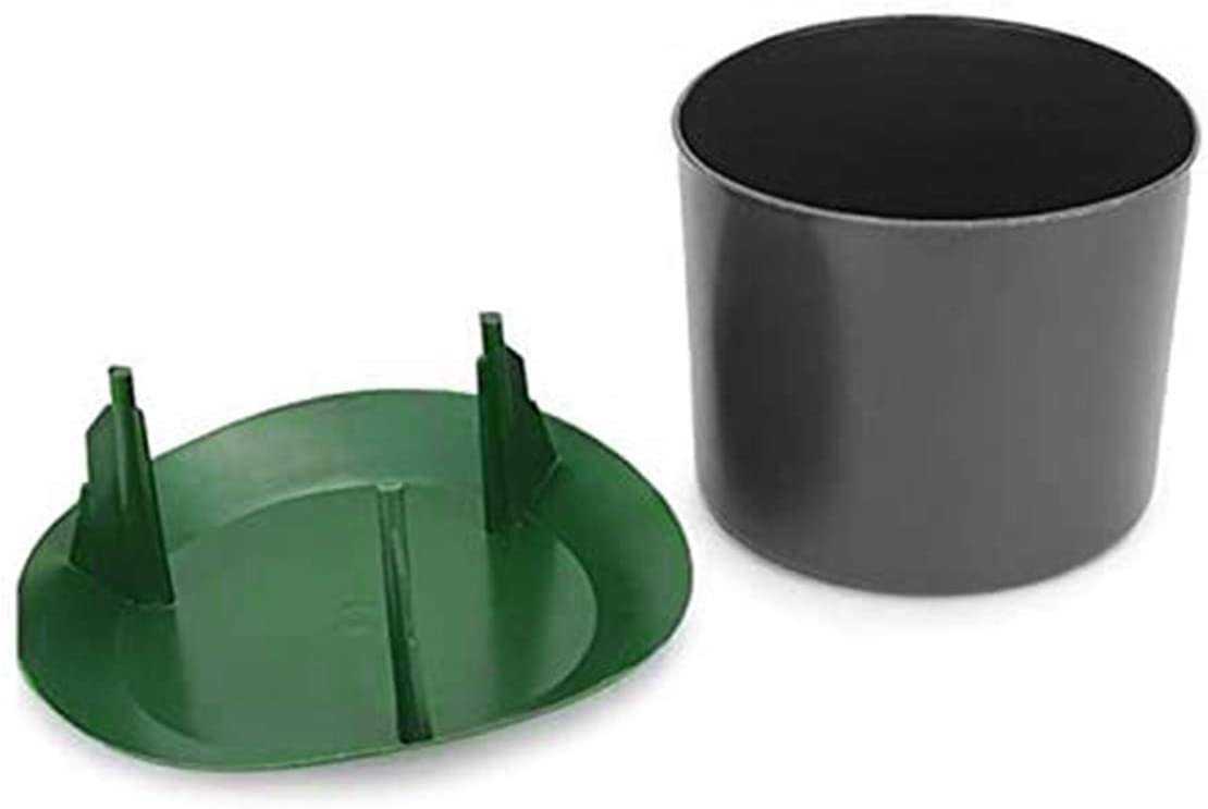 DIVCHI Beer Slug & Snail Traps Simple To Use No Pellets Safe Around Children And Pets - Divchi