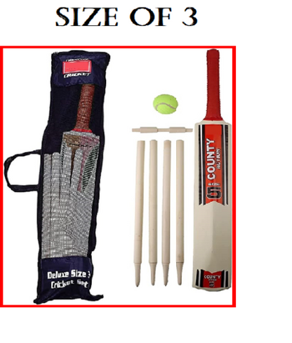 Size 3/5 Cricket Set in Mesh Carry Bag Suitable for approximate ages 8-12 years.